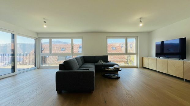 Modernes 5.5-Zimmer-Neubau-Einfamilienhaus mit 2 Bädern, Carport, Parkplatz & Garten in Duggingen - Photo 1