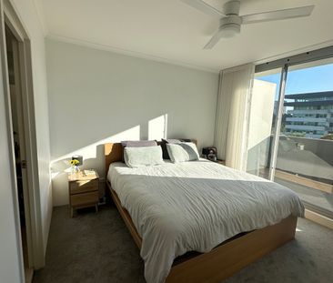 Zetland - Photo 4