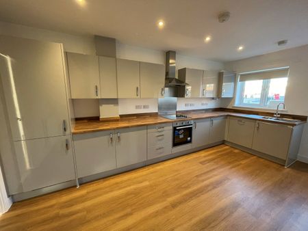 The Anning - Photo 5