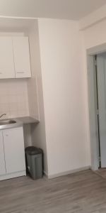 Location Appartement 1 pièce 19m² ALBI 81000 - Photo 3
