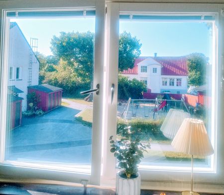 Skolkvior, Klintehamn - Photo 5