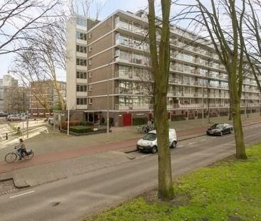 Volendamlaan 0ong, 2547 CH Den Haag, Nederland - Photo 1