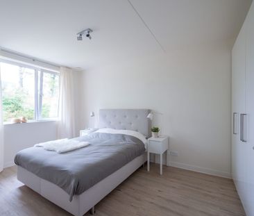 Meander 32 - Photo 4