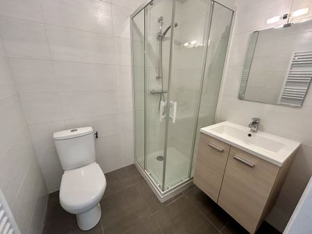 Location Appartement 1 pièce 21m² GUER 56380 - Photo 4