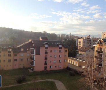 Location Appartement 2 pièces 47m² BARBERAZ 73000 - Photo 6