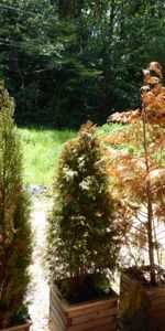 Appartement à louer F3 à Lemberg - Photo 4