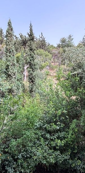 Διαμέρισμα για ενοικίαση Λυκαβηττός (Κολωνάκι - Λυκαβηττός) - Photo 2