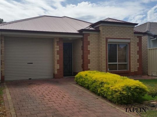 20 Wingate Street, Greenacres - Photo 1