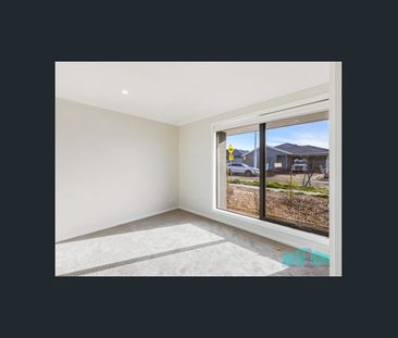 Modern Family Living in the Heart of Warralily Estate - Photo 2