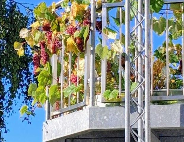 ruhige, schöne Süd-Wohnung,74qm, Balkonterr., - Photo 1