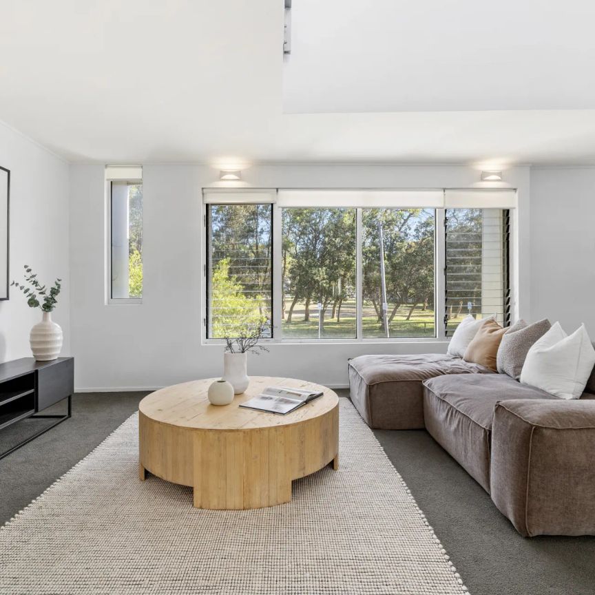 Another Successful Result By David Ibanez - Photo 1