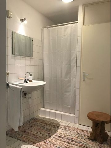 Lodewijk Napoleonplein - Foto 5