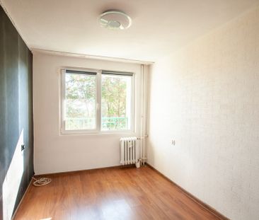 Zadbane mieszkanie 3-pok. z balkonem do wynajęcia - Zdjęcie 6