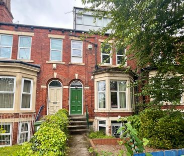 studio apartment to rent - Photo 4