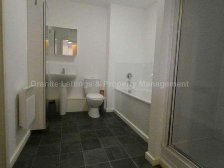 Stillwater Drive, Sportcity, Manchester, M11 - Photo 4