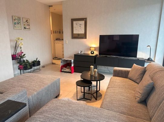 Appartement te huur in Ternat - Photo 1