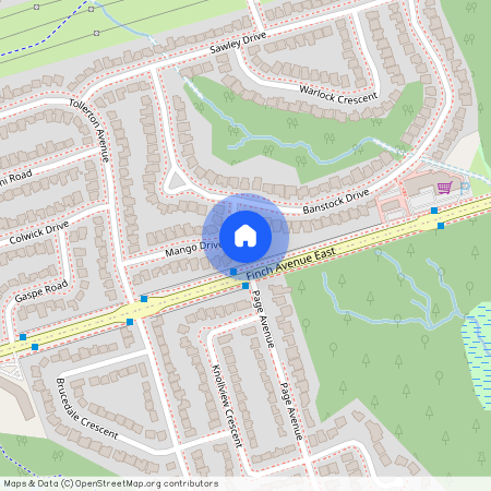 25 Mango Drive, Toronto