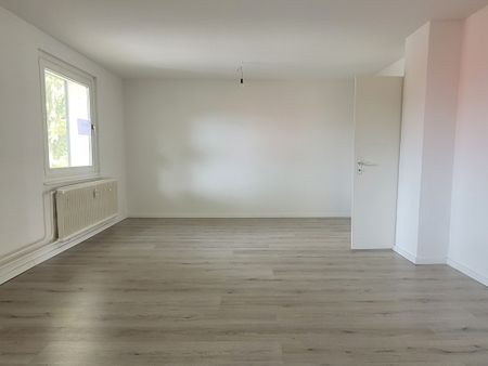 2-Zimmer-Wohnung im Erdgeschoss - Photo 5