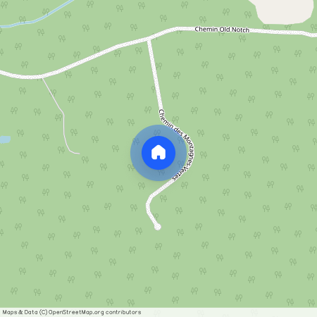 131 Ch. des Montagnes-Vertes, Sutton (, Estrie, ), J0E2K0