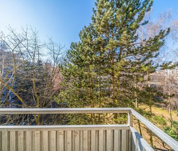 Pronájem bytu 1+1 35 m² - Fotografie 5