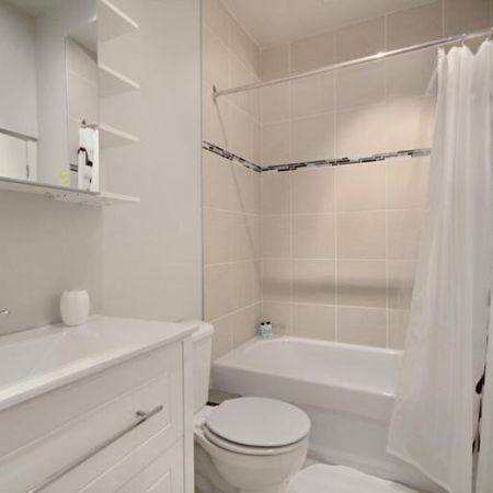 Loft entièrement meublé à louer Saint-Jean-Baptiste juillet 2026 - Photo 4