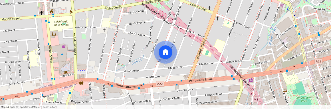 45 Young Street, 2038, Annandale