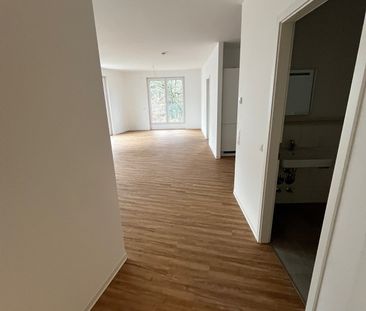 3-Zimmer-Wohnung im 2.OG, EBK, Bad mit Dusche, Terrasse Süd - Photo 3