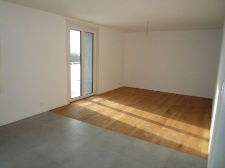 Bel appartement de 3 pièces avec vue sur le lac - Foto 3