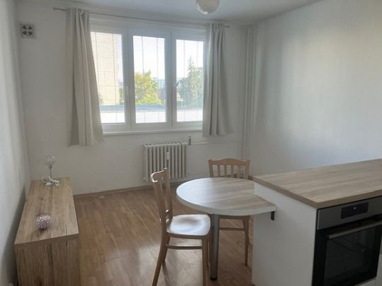 Pronájem bytu 1+1 46 m² - Photo 1