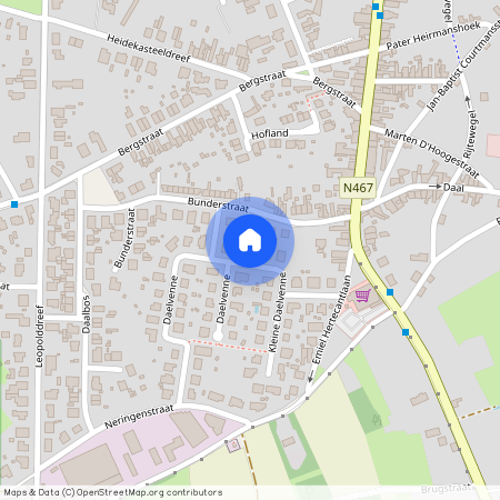 Daelvenne, 5, 9290, Berlare