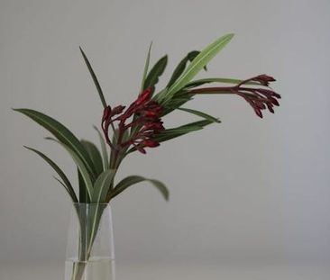 Carrer de Rodrigo de Pertegás, Valencia, Valencian Community 46023 - Photo 3