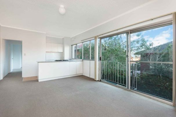 2/42 Ben Boyd Road Neutral Bay - Photo 1