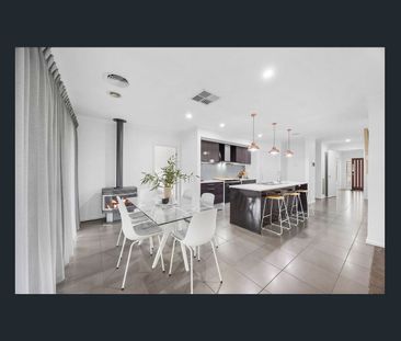 Immaculate Modern Home with Stylish Living and Entertaining - Photo 6