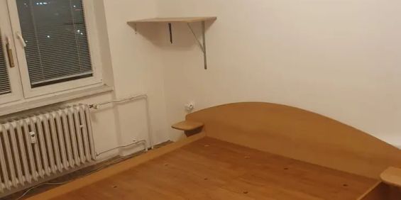 Pronájem pokoje Brno Černovice, ul. Řehořova, 15 m - Fotografie 3