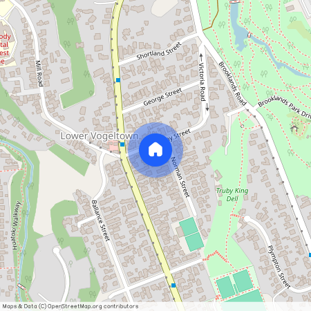 8B Holsworthy Road, New Plymouth, Lower Vogeltown