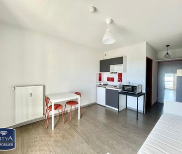 Location Appartement 1 pièce 19m² LIMONEST 69760 - Photo 3