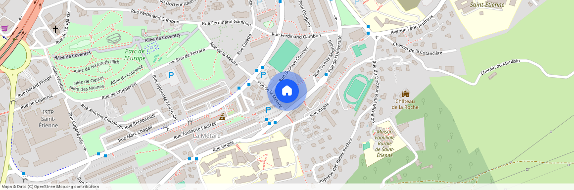 21 RUE GUSTAVE COURBET, 42100, St Etienne