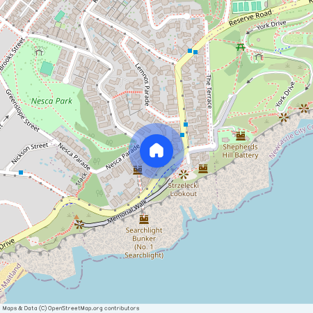 7/12 Memorial Drive, The Hill NSW 2300