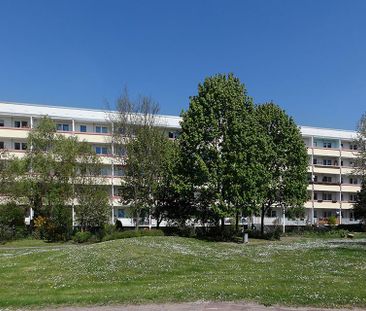 Wohnen im II. OG - Photo 3