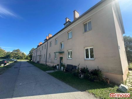 Top gepflegte 2-Zimmer Wohnung EG in Ebergassing, 47,6m², Miete €850 - Photo 5
