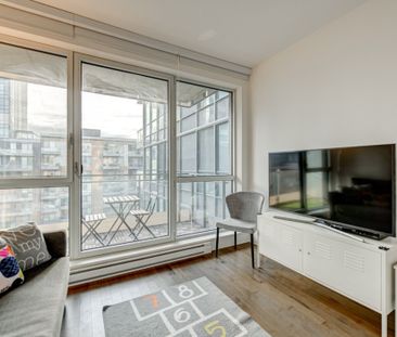 365 Rue St-André, app.819, H2L 0G2, H2L 0G2, Montréal - Photo 6