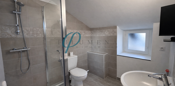 Location Appartement 1 pièce 22m² ANCENIS 44150 - Photo 2