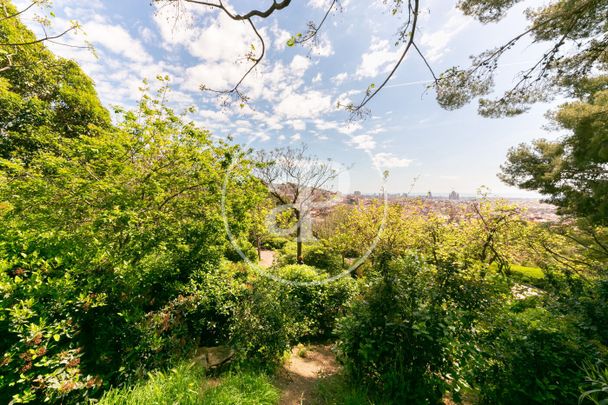 Apartment for rent on Craywinckel Street - Photo 1