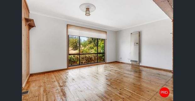 Charming Family Home with Spacious Yard and Outdoor Living - Photo 1