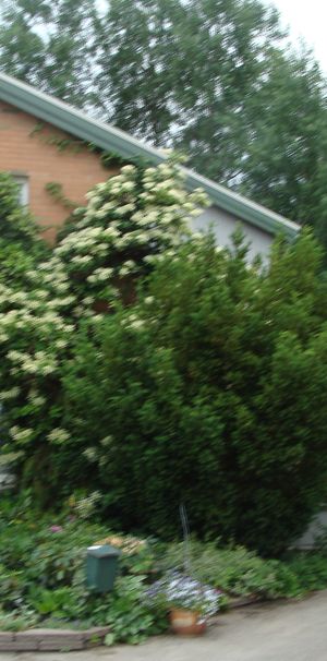 Trumslagaregatan, Linköping - Photo 1