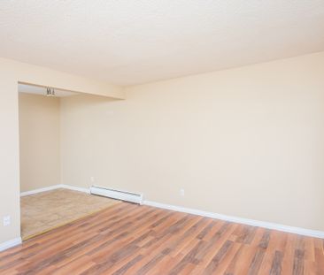 Alexander Apartments - Photo 3