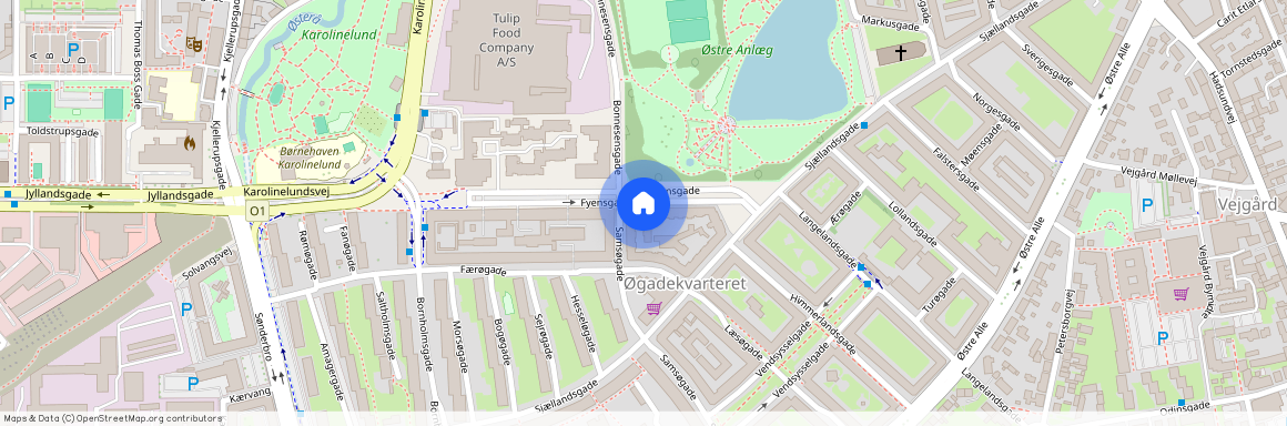 Fyensgade 46, 4. tv. 9000 Aalborg