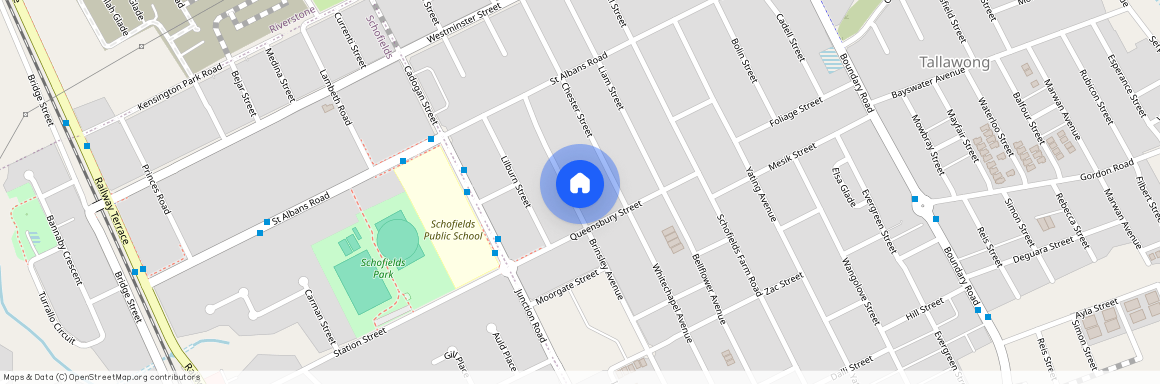 29 Brinsley Ave (Tallawong), NSW 2762, Schofields