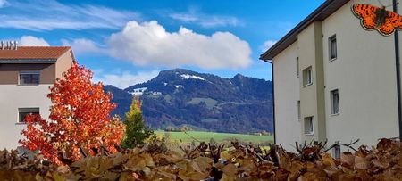 2.5 Zimmer, 49 m², EG - Photo 4
