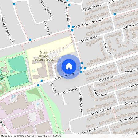 341 Crosby Avenue, Richmond Hill